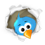 Enterate de las novedades por Twitter