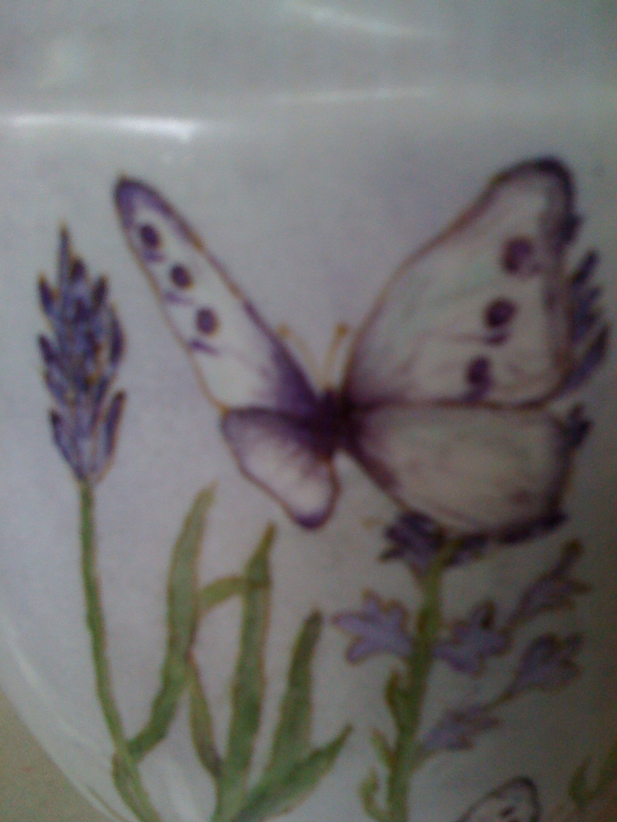 Flora Montevidoni- pintura en porcelana